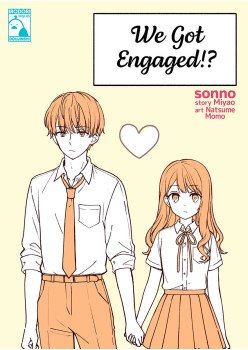 We Got Engaged!? And Other Short Stories